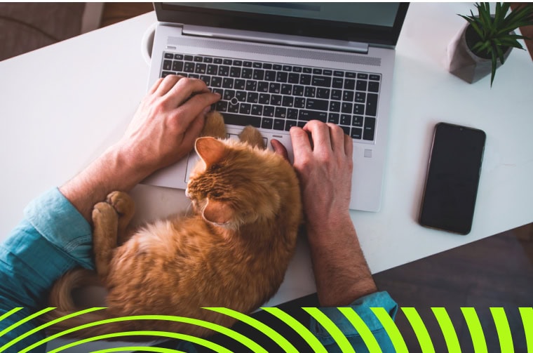 image of a laptop and a cat illustrating working from home