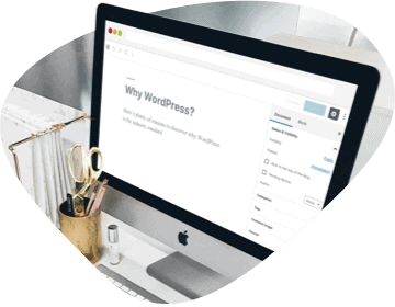 Why WordPress