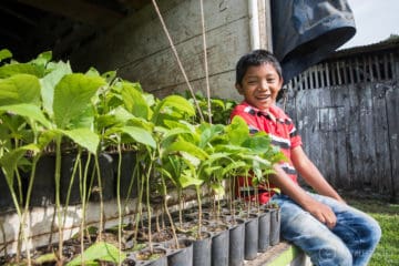 Child sitting with tree saplings
