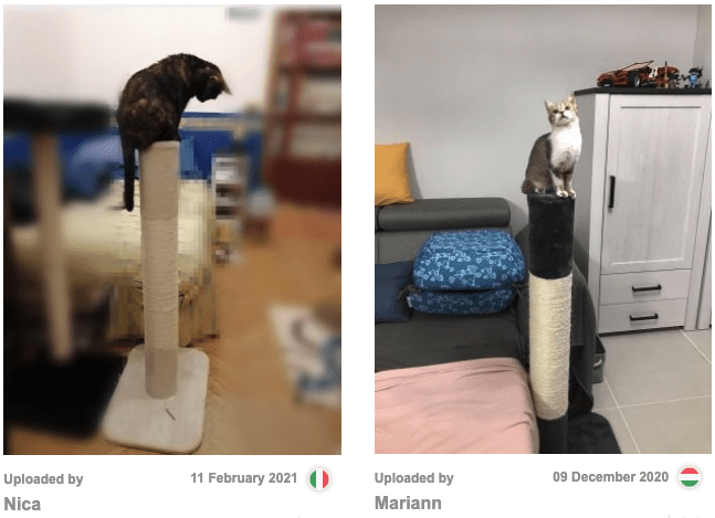 Zooplus user generated content