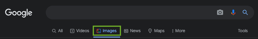 Screenshot of Google image search tab