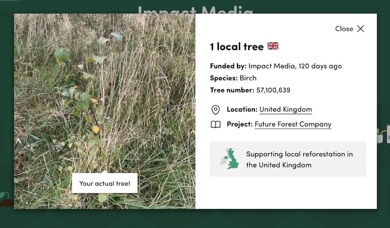 example of information on a locally planted tree, including species and location