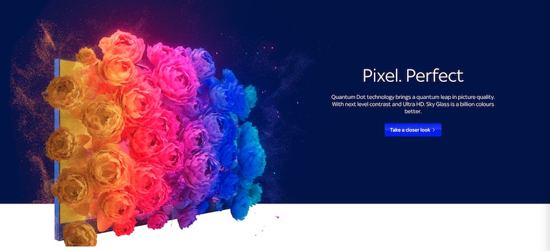 Sky Glass website flowers blooming animation