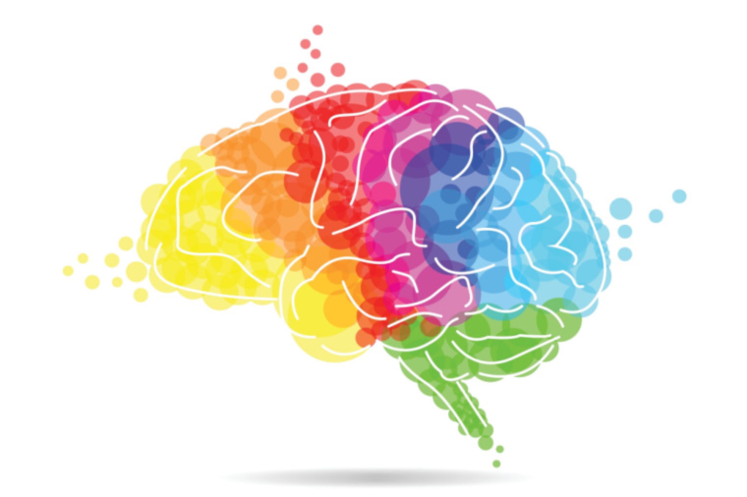 Illustration of a colourful brain blog hero image.