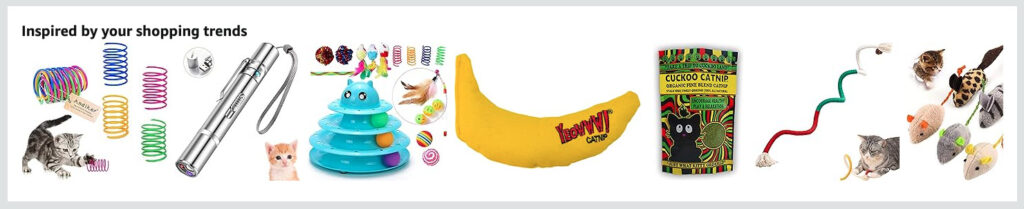 amazon recommendations