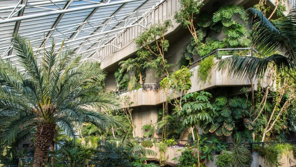 Barbican Conservatory, showing the concrete structure draped in gorgeous greenery